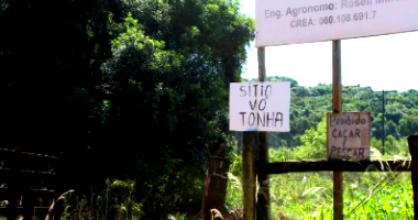 Sítio Vó Tonha - 64,13 ha com casa e lavoura em Itapeva/SP