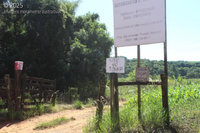 Sítio Vó Tonha - 64,13 ha com casa e lavoura em Itapeva/SP