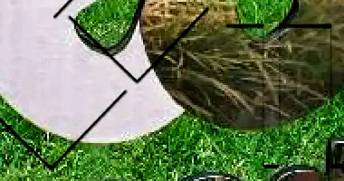 Apartamento com 2 quartos em Arapongas/PR