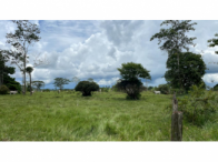 Sítio com 26,62 hectares em Ariquemes/RO