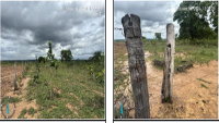 Fazenda Campo Limpo-Diamantino 29,57ha em Mineiros/GO