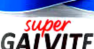 Lote 002 - Tintas Diversas para Construção