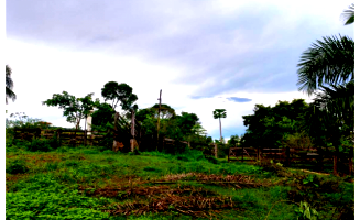 Sítio com 58,50 hectares e Sobrado com 540m² em Goiânia