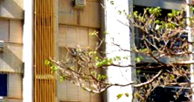 Apartamento com 2 vagas em Maringá