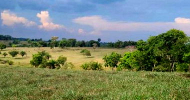Parte ideal 1,81ha - Sítio em Novo Horizonte do Oeste/RO