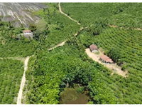Sítio Nossa Senhora da Saúde com 39,7 hectares