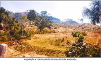 Terreno rural de 24,20 ha em Cacaulândia/RO