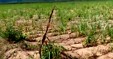 Sítio com 9ha em Quipapá/PE