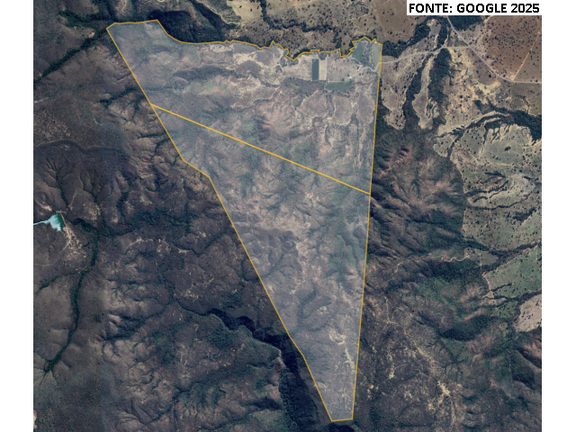Fazenda 384,52 hectares em Buritis/MG