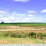 Terreno amplo de 3.921m² sem benfeitorias, ideal para investimento