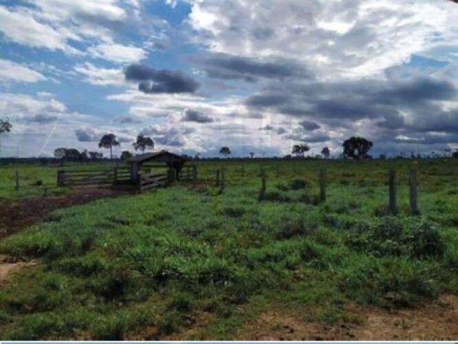 Gleba de 100,2419 ha em Costa Marques - Oportunidade Única