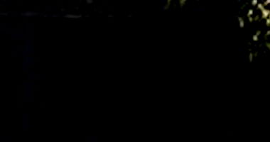 Casa com 2 Quartos e 1 Vaga em Campo Grande/MS