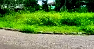 Terreno amplo em Nova Marlia - Oportunidade de investimento!
