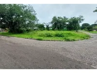 Terreno amplo em Nova Marlia - Oportunidade de investimento!