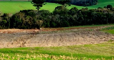 Fração ideal 50% de terreno rural 6.012,5m² sem benfeitorias