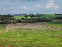 Fração ideal 50% de terreno rural 6.012,5m² sem benfeitorias