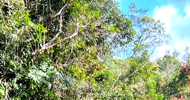 Terreno Amplo em Embu-Guaçu/SP - 1.702 m²