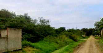 Lote amplo de 2734m² no Loteamento Chácara Rincão com venda direta