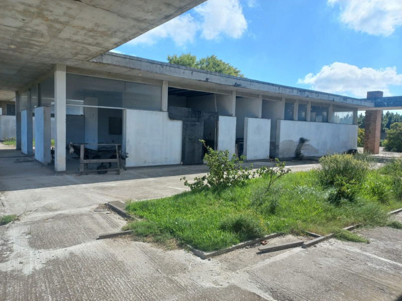 Terreno amplo com 250m de frente, ideal para investimento