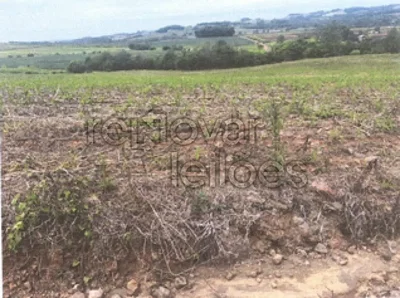 Área rural de 79.626 m² para agricultura e pecuária