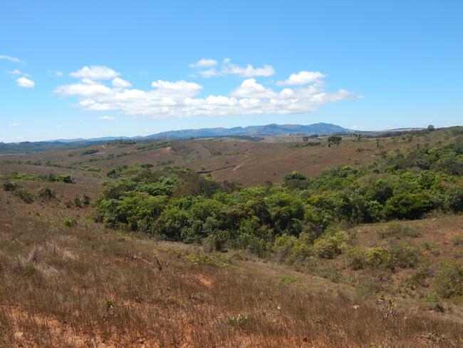 Fazenda 90ha com Nascentes e Pastagem em Cruzília/MG