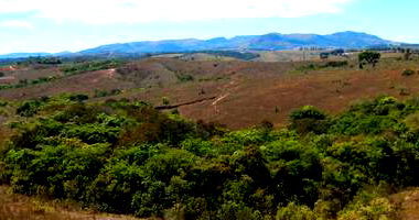 Fazenda 90ha com Nascentes e Pastagem em Cruzília/MG