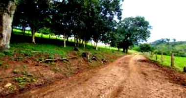 Parte ideal de 14,52ha em Castro/PR