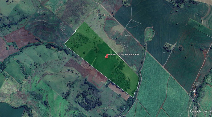 Sítio Regina com 7 alqueires em Andirá/PR