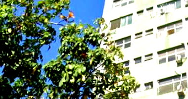 Sala Comercial no Edifício General Tibúrcio - Centro - Fortaleza/CE