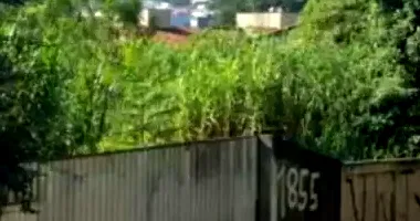 Terreno 7.000m² em Cotia - Desocupado