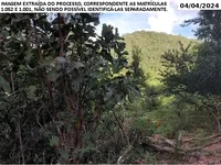 Fazenda com 141,33 hectares em Minaçu/GO