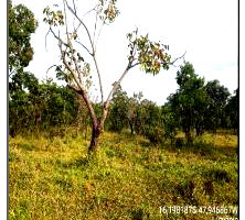 Terreno amplo de 5000m² no Parque Alvorada II, Luziania, GO