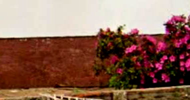 Casa na Vila Planalto com 3 quartos e 1 banheiro