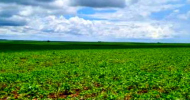 Duas Matrículas de Imóvel Rural em Assis Chateaubriand/PR