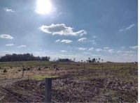 Terreno Rural com 8ha em Guarapuava/PR