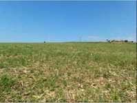 Terras rurais Gleba Alvora com 175.450m² em Nova Tebas/PR