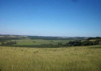 Imóvel Rural com Casa Sede e Casa para Colonos, 47.9 ha