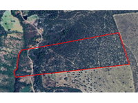 Área Rural com 27,98 ha, ocupada, ideal para investimento