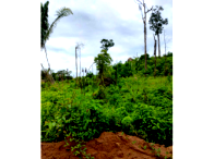 Sítio rural com 99,47 hectares, terreno acidentado, sem sede