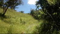 Fazenda Santa Fé Rural com 214,634 HA em Padre Bernardo/GO