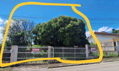 Casa de 226,99 m² em terreno de 510,25 m²
