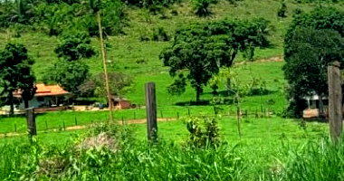 Sítio com 4,84 hectares, pastagem para bovinos, desocupado