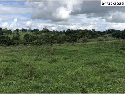 Chácara com 49.167 m², Poço Artesiano e Barracão Suinícola