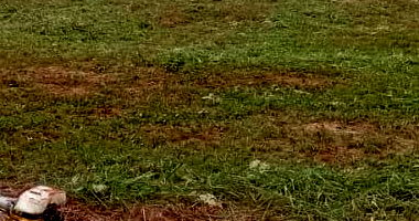 Terreno Urbano de 250 m² em Residencial Elisa - Oportunidade!