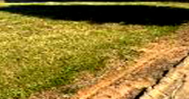 Espaçoso Terreno de 615m² para Investimento Residencial