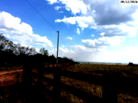Fazenda com 393 hectares em Brasnorte/MT