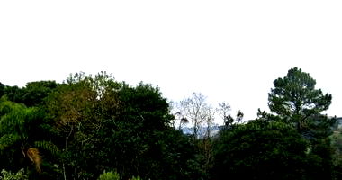 Dois Terrenos em Leilão Judicial em Caxias do Sul/RS