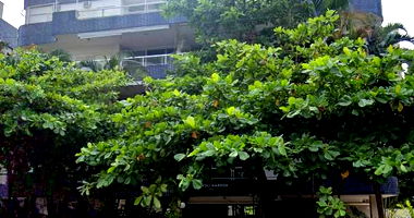 Apartamento 110m² no Edifício Tivoli Garden em Guarujá