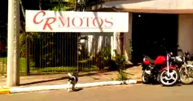 Casa Ocupada com 2 Vagas e Ampla Área Construída