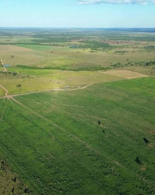 Fazenda com Casa, 3 Quartos e 2 Banheiros em 140 Hectares
